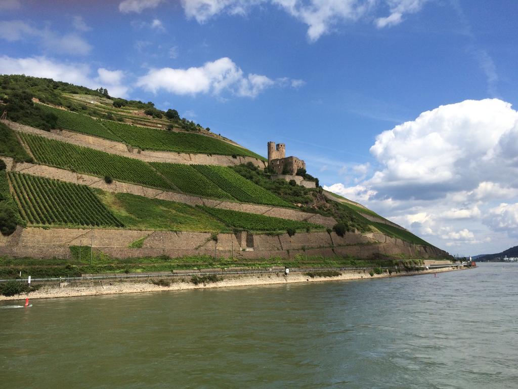 Hotel Trapp Ruedesheim am Rhein Ngoại thất bức ảnh