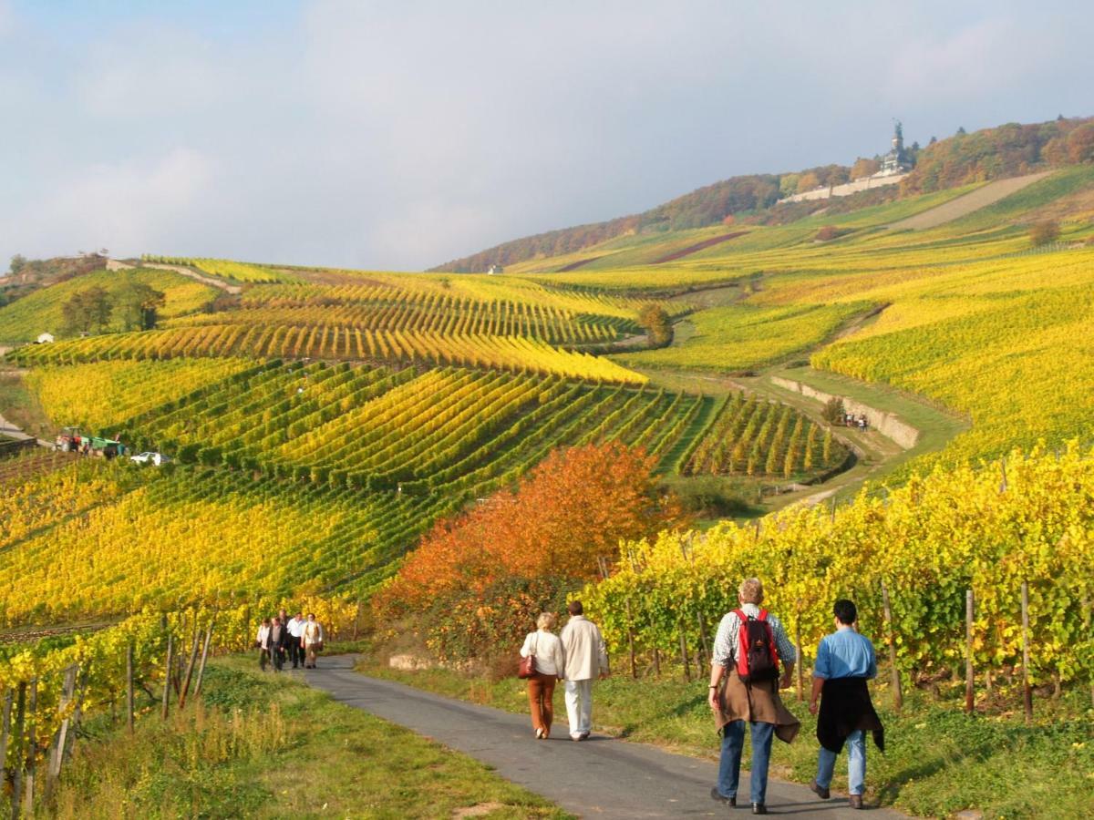 Hotel Trapp Ruedesheim am Rhein Ngoại thất bức ảnh