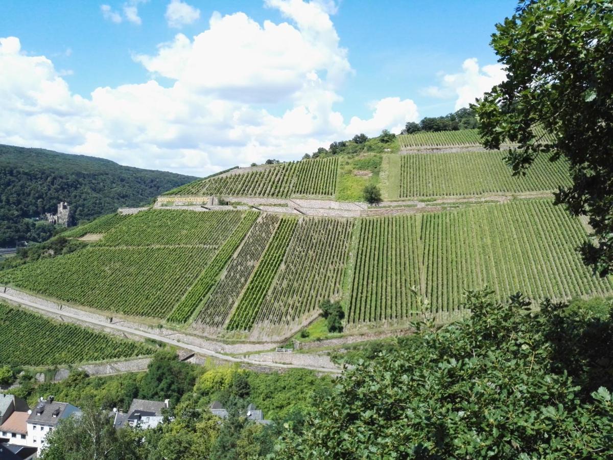 Hotel Trapp Ruedesheim am Rhein Ngoại thất bức ảnh